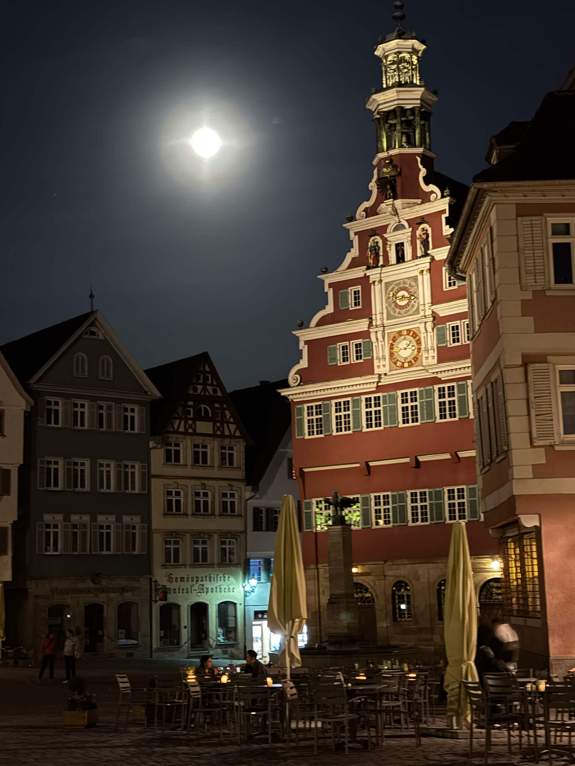 Gemeinderat Esslingen Stadtbücherei: Rathaus Esslingen vor der Sitzung zur Zukunft der Bücherei